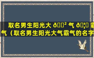 取名男生阳光大 🌲 气 🦅 霸气（取名男生阳光大气霸气的名字）